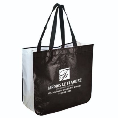 Picture of sac magasinage